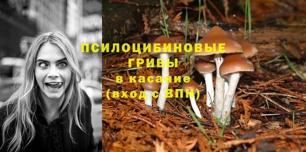 ешки Горняк