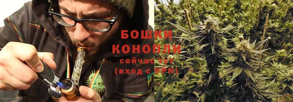 ешки Горняк