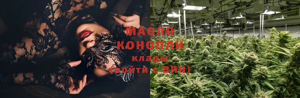 ешки Горняк