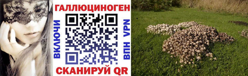 Галлюциногенные грибы прущие грибы  купить наркоту  Зеленодольск 